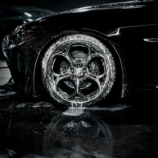 Car detailing wheel