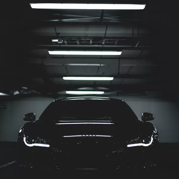 Car in garge